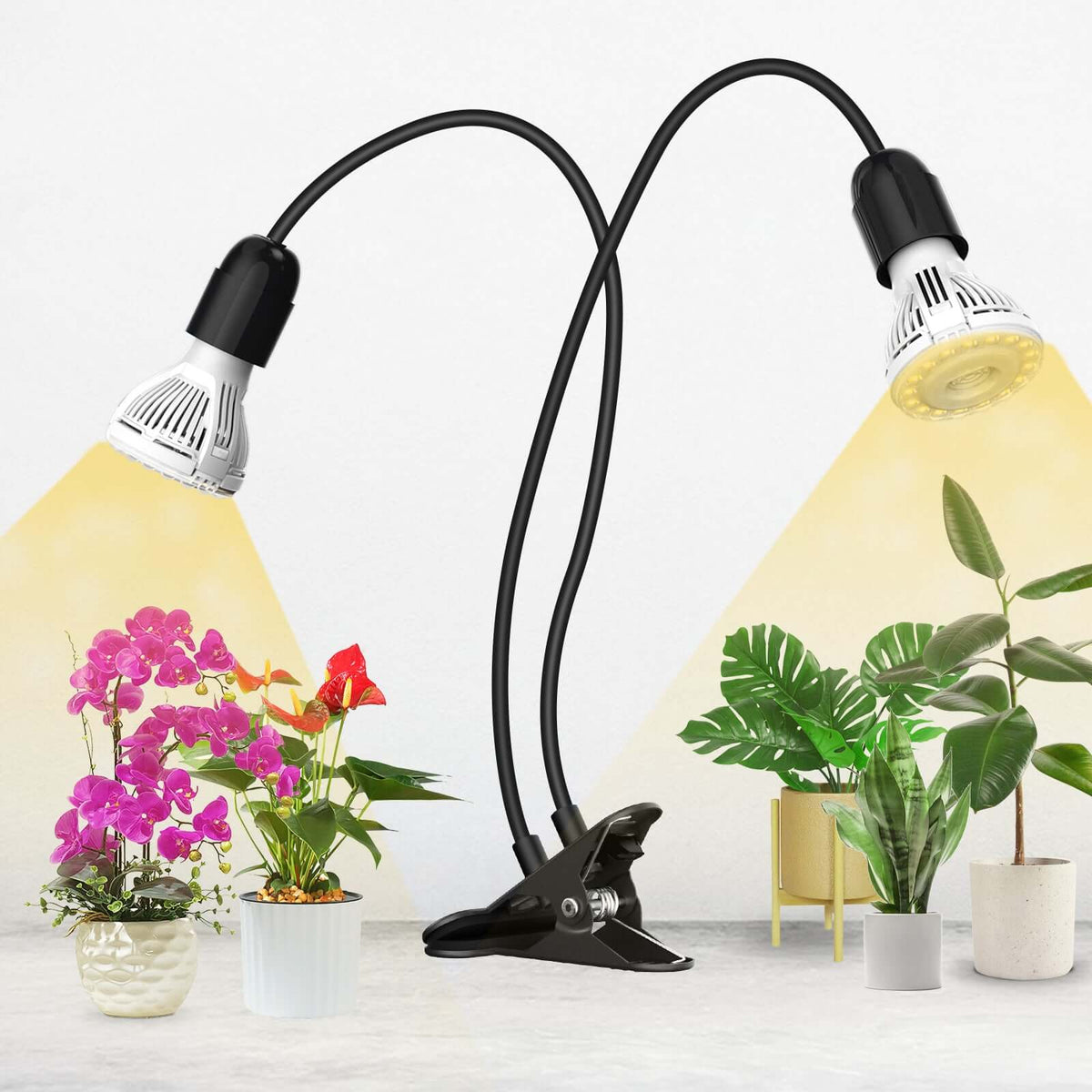 SANSI dual-head LED grow light clipped to a shelf, illuminating tropical houseplants in a home setting