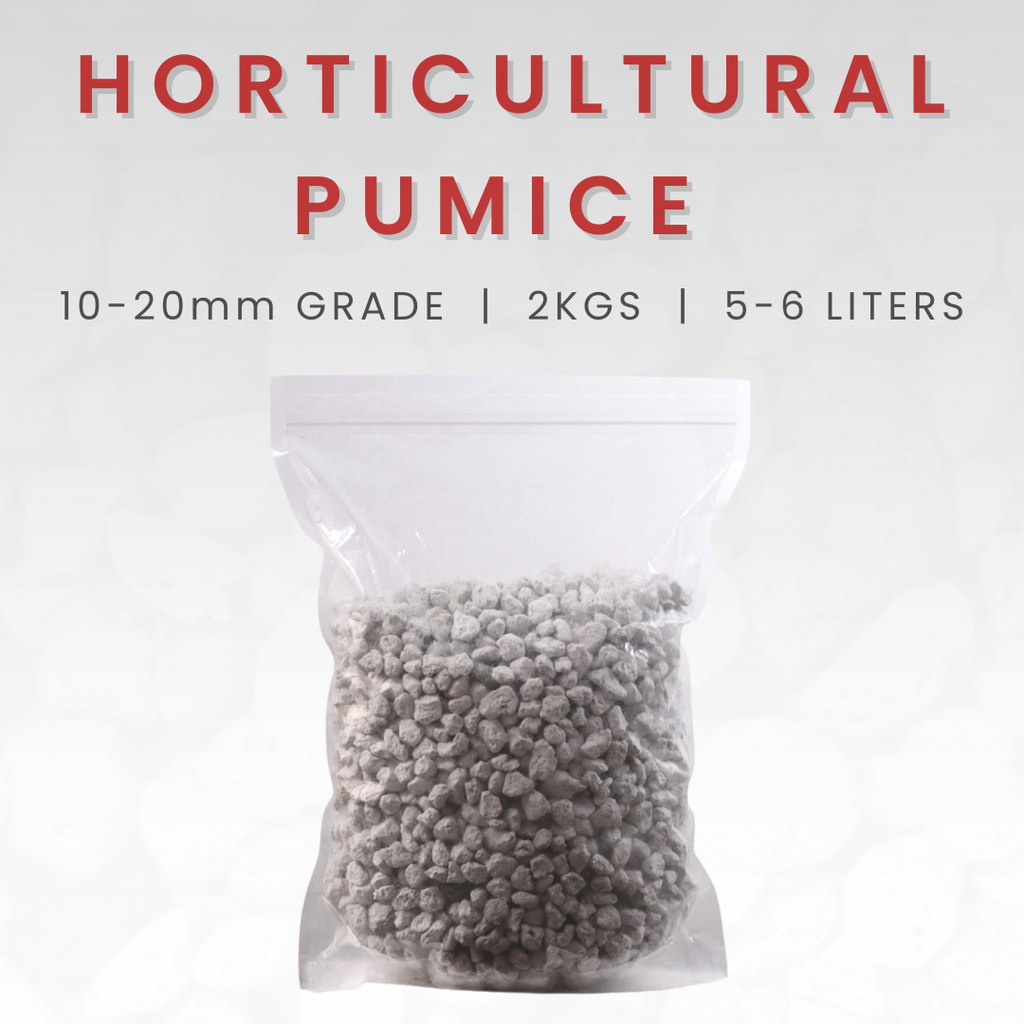 Horticultural Pumice Stones for Plants – Coarse 10-20mm – 5L (or 2kg)