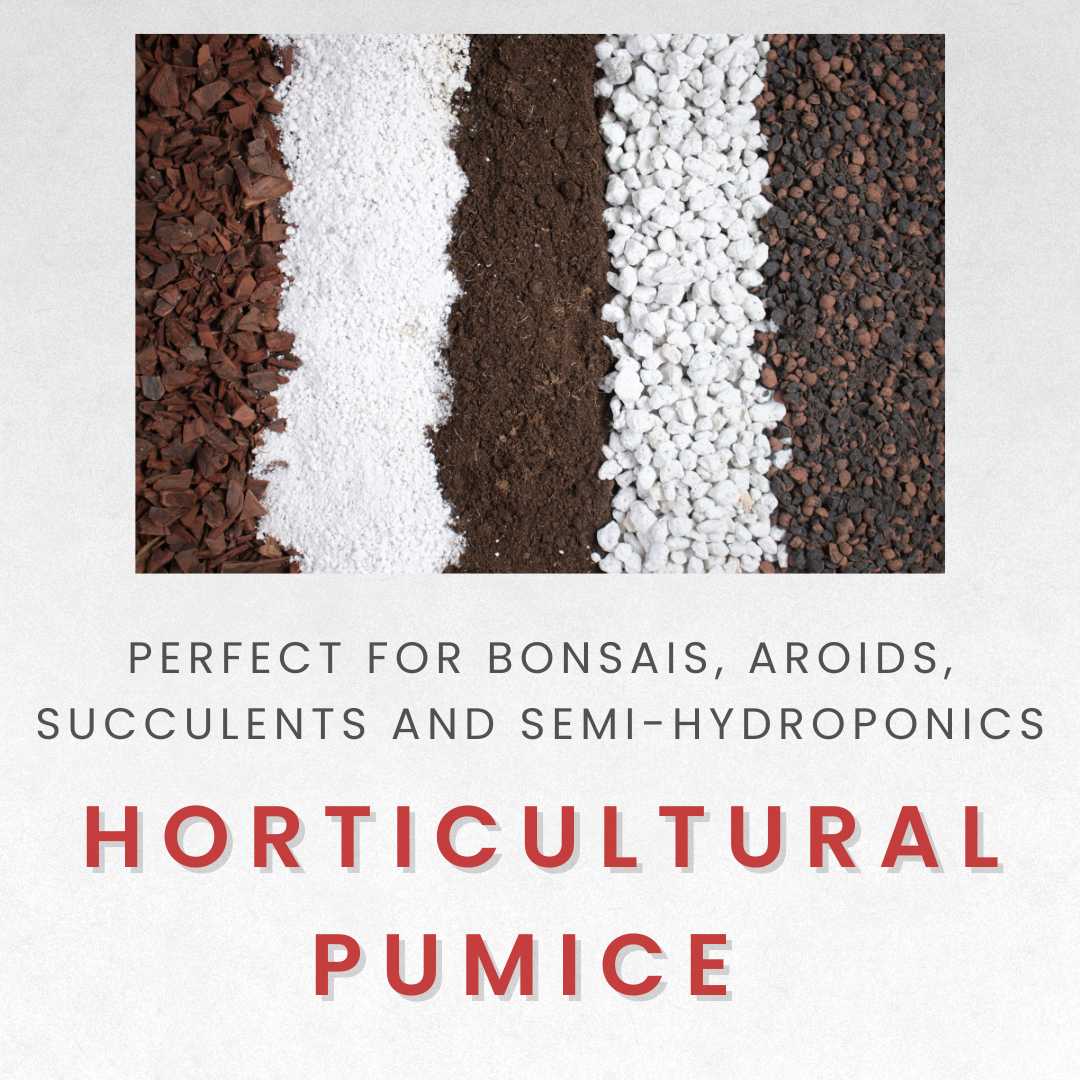 Horticultural Pumice Stones for Plants – Coarse 10-20mm – 5L (or 2kg)