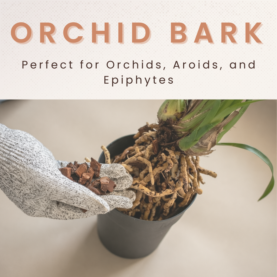 Orchid Bark 5L — Chunky Pine Bark for Orchids, Aroids & Epiphytes