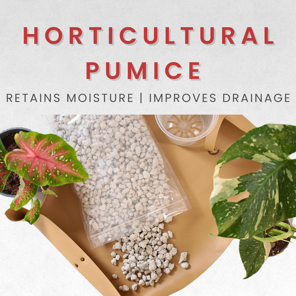 Horticultural Pumice Stones for Plants – Coarse 10-20mm – 5L (or 2kg)