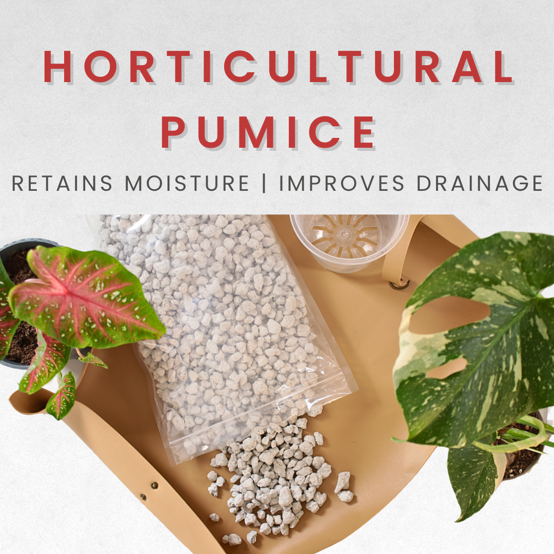 Horticultural Pumice Stones for Plants – Coarse 10-20mm – 5L (or 2kg)