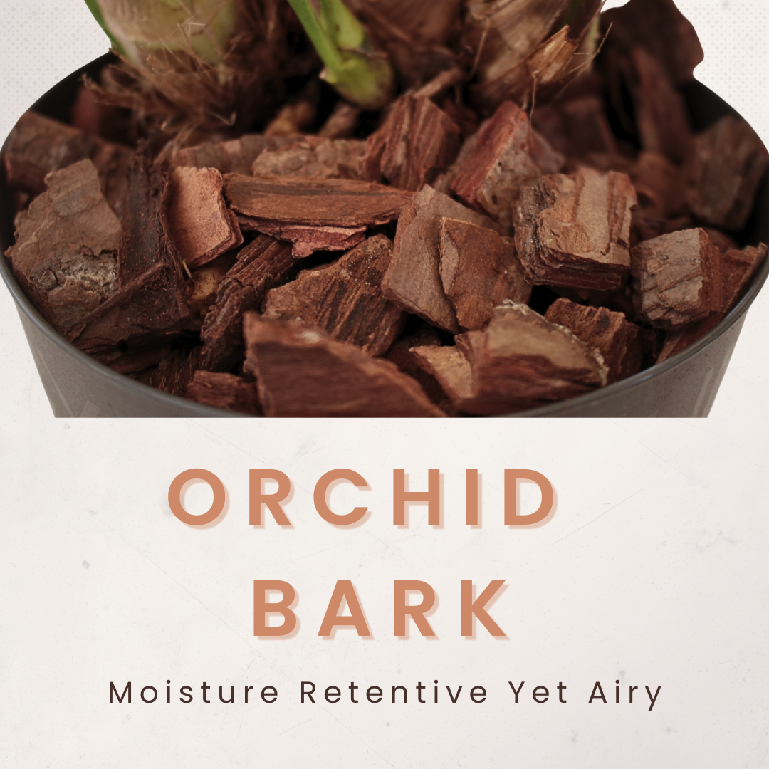 Orchid Bark 5L — Chunky Pine Bark for Orchids, Aroids & Epiphytes