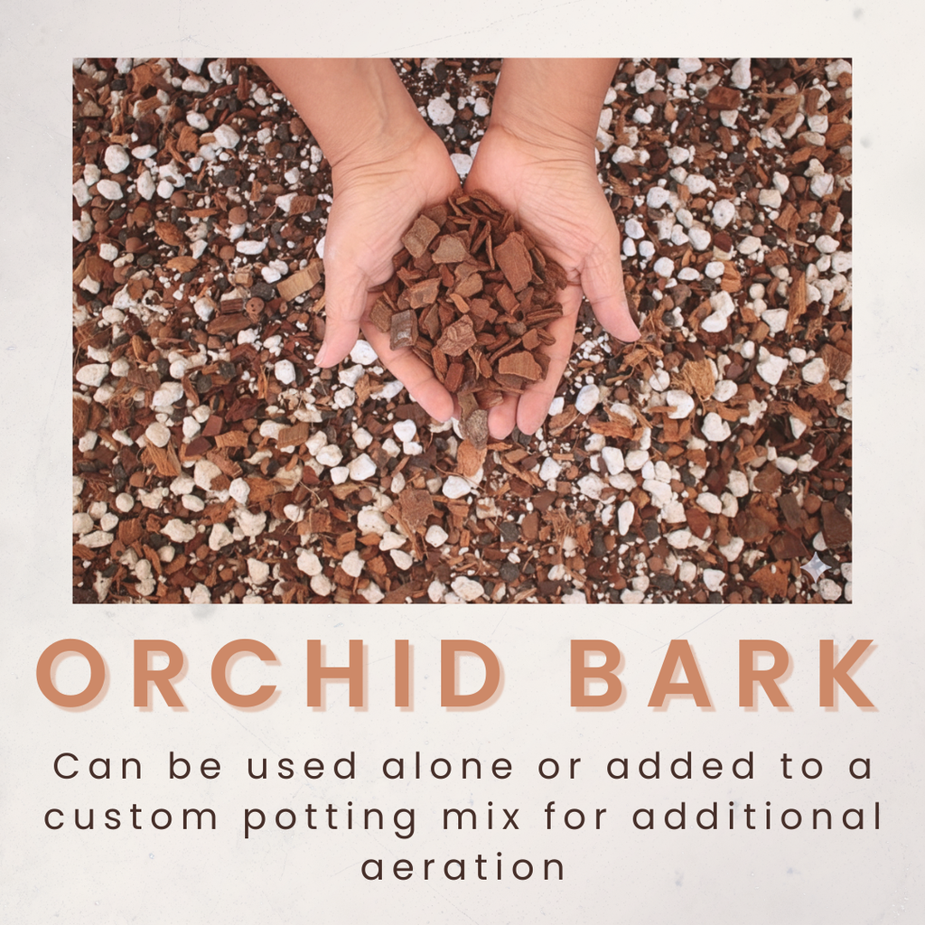 Orchid Bark 5L — Chunky Pine Bark for Orchids, Aroids & Epiphytes