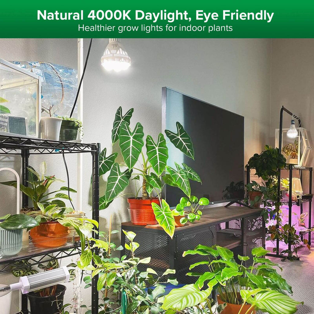 SANSI grow light 4000K natural daylight