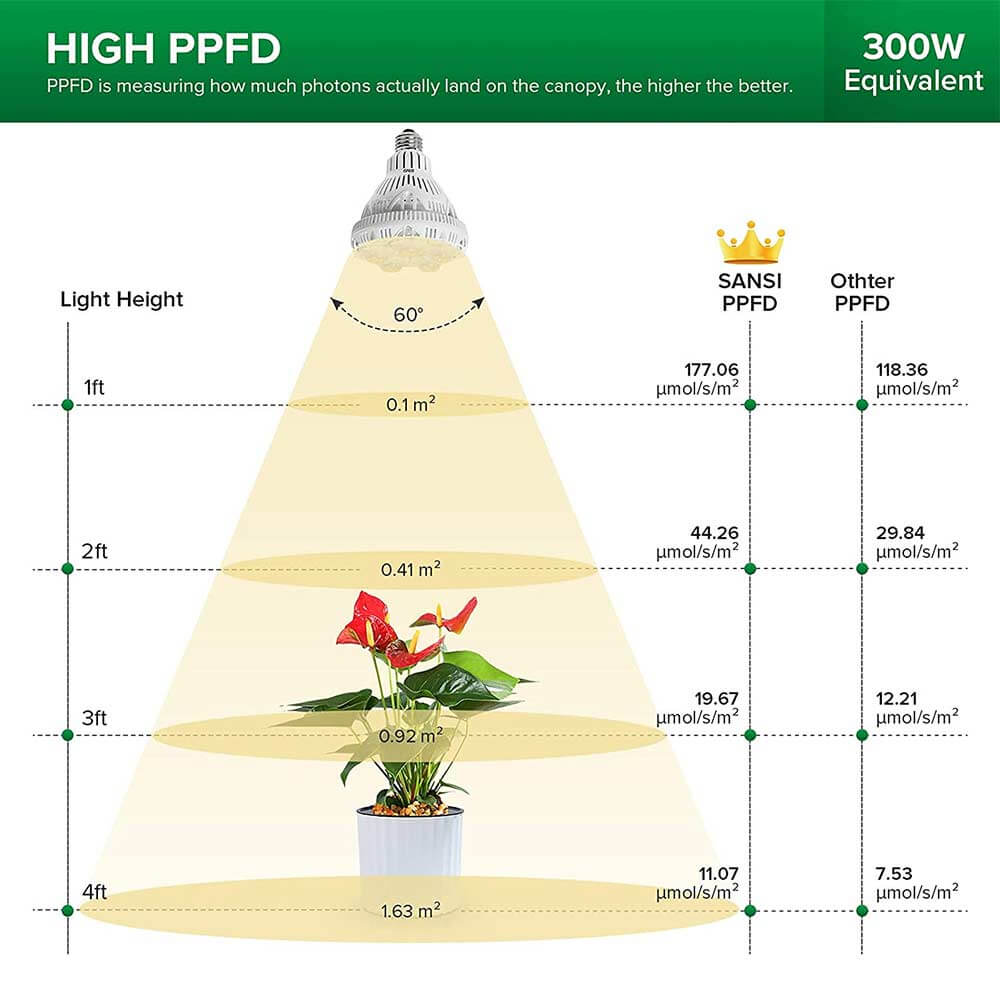 SANSI 24W HIGH PPFD chart – 300W equivalent, 177.06 µmol at 1ft