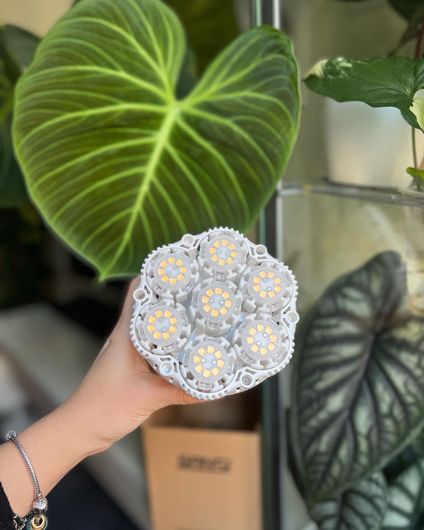 SANSI LED grow light in use – indoor plants thriving